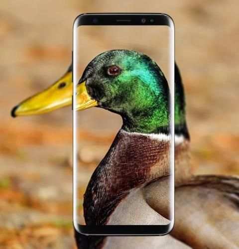 best selfie camera hd 4K screenshot 2