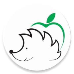 Моя полка 1.1.1
