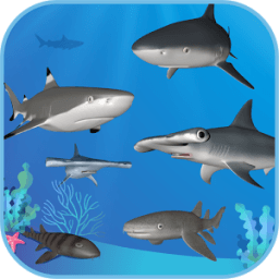 Sharks AR SeaWorld Ancol icon