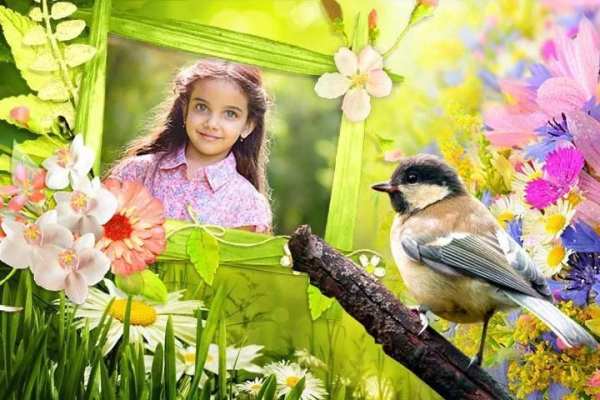 Birds Photo Frames स्क्रीनशॉट 4