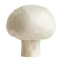 बटन मशरूम कैसे उगाऐं