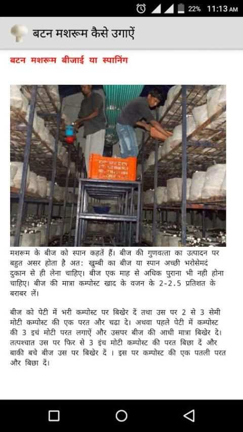 बटन मशरूम कैसे उगाऐं 2 تصوير الشاشة