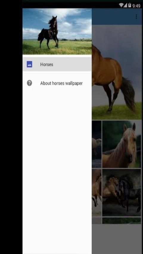 Horse Wallpapers 2017 скриншот 3