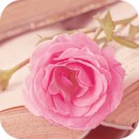 AppLock Theme Pink Flower