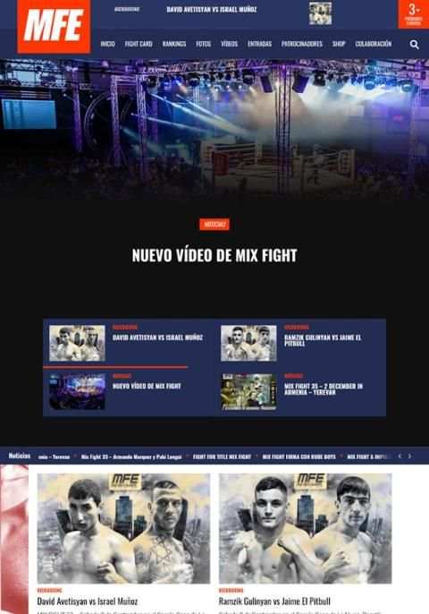 MIX FIGHT / MFE screenshot 6