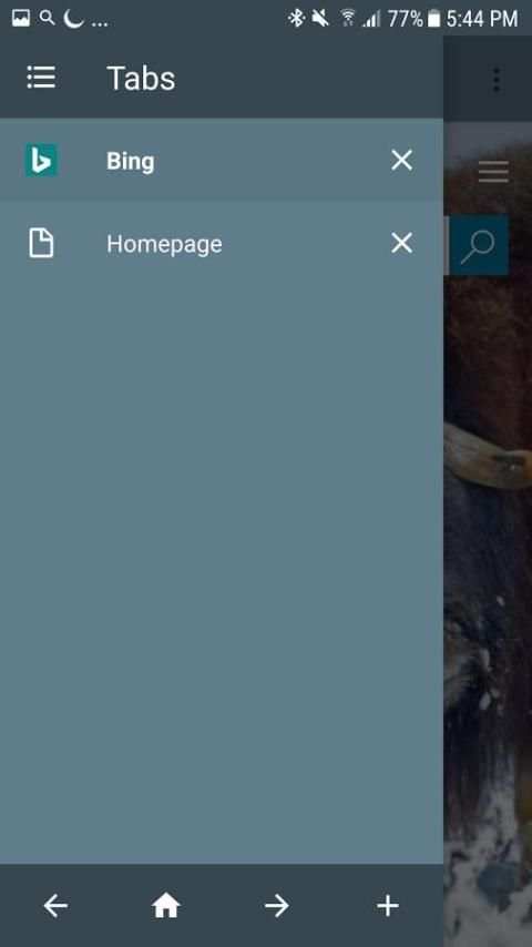 Light Browser screenshot 1