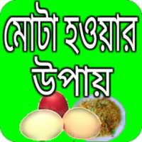 মোটা হওয়ার উপায়