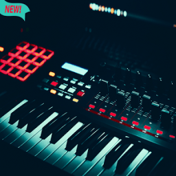 ikon Electronic ORG New 2018