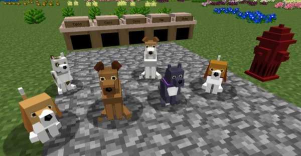 Mod Dog screenshot 2