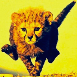 iCheetah (Driver) आइकन