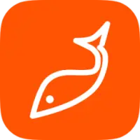 Lucky Fish Finder Review: good value or $40 gamble? 