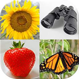 Easy Pictures - Photo-Quiz with 4 Different Topics