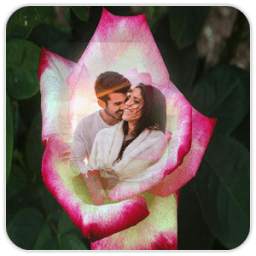 Rose Photoframe 1.0