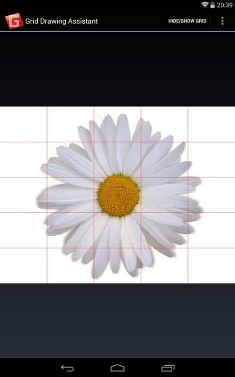 Grid Drawing Assistant screenshot 4