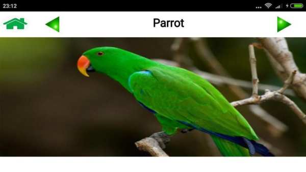 Animal and Bird Sound for Kids скриншот 5