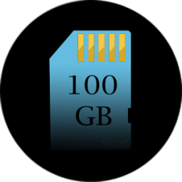 ikon 100 GB SD Card storage
