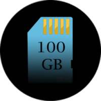 100 GB SD Card storage