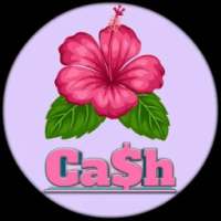 Money Ca$h logo