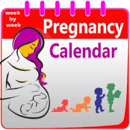 pregnancy calendar week by week