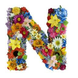 Flower Alphabet Wallpapers 1.0