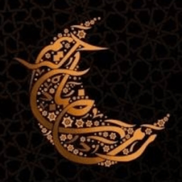 Muslim Chat أيقونة