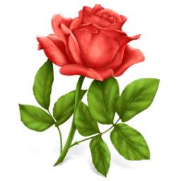 صور ورد للفيس 1.2