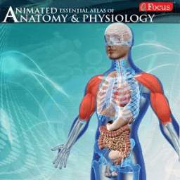 Anatomy & Physiology-Animated