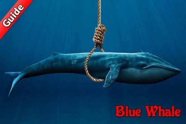 Guide for Blue Whale Suicide Game 1 تصوير الشاشة