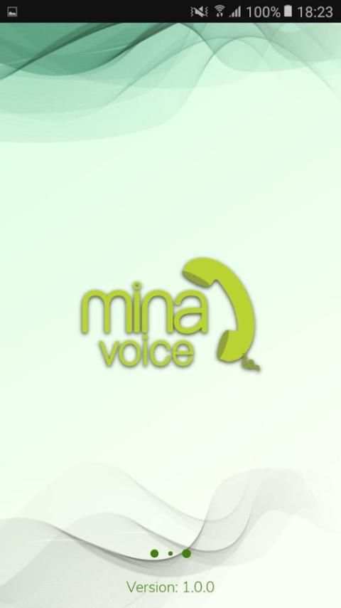 Minavoice screenshot 8