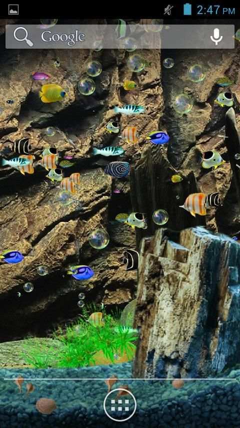 Aquarium Live Wallpaper स्क्रीनशॉट 3