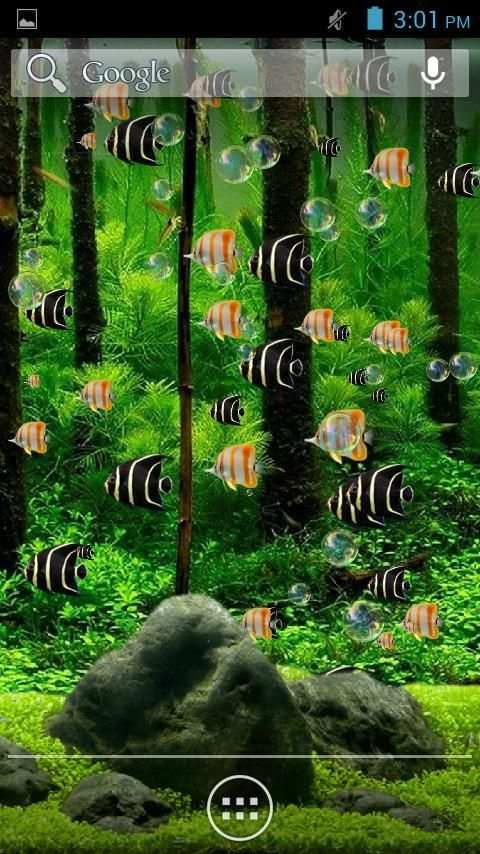 Aquarium Live Wallpaper स्क्रीनशॉट 7