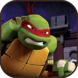 turtle adventure ninja icon