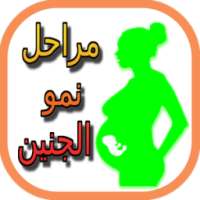 مراقبة نمو الجنين أسبوع بأسبوع on 9Apps