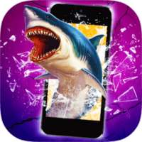 Shark Break Phone Prank