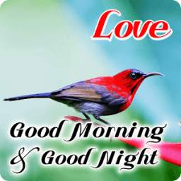Good Morning & Good Night Wishes Love