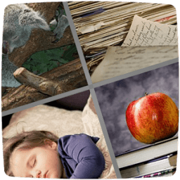 4 картинки 1 слово. icon