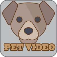 Funniest Pet Videos on 9Apps