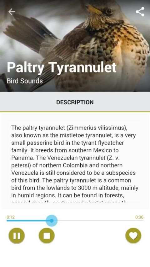 Birds Sound Pro скриншот 3