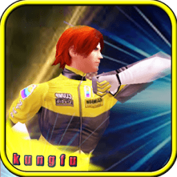 Tiger Kung fu Fighting 3D icon