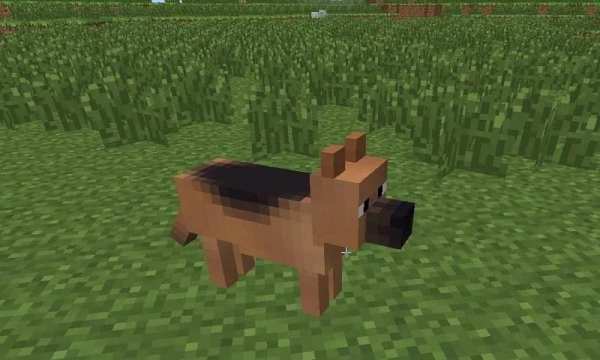 Mod Dogs for MCPE screenshot 2