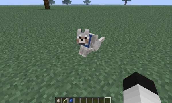 Mod Dogs for MCPE скриншот 3