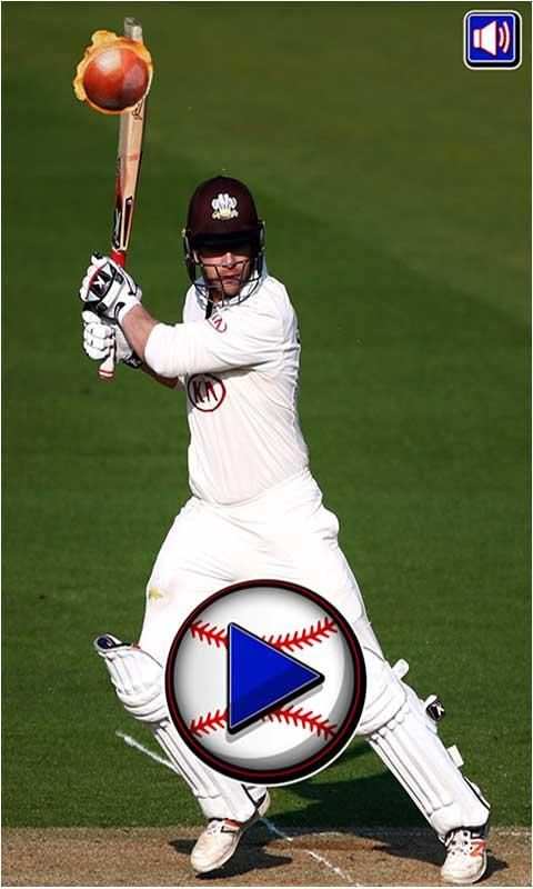 Crazy Cricket screenshot 6