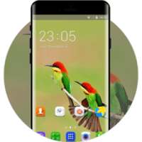 Colorful Birds Theme for Samsung Galaxy Fame Lite logo