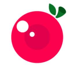 CherryCam 1.0.5