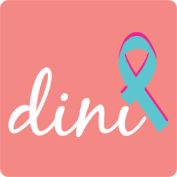 DINI icon