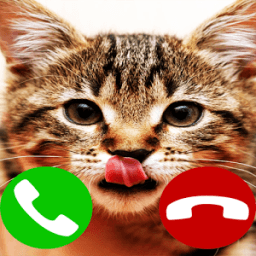 Fake Call Cat иконка