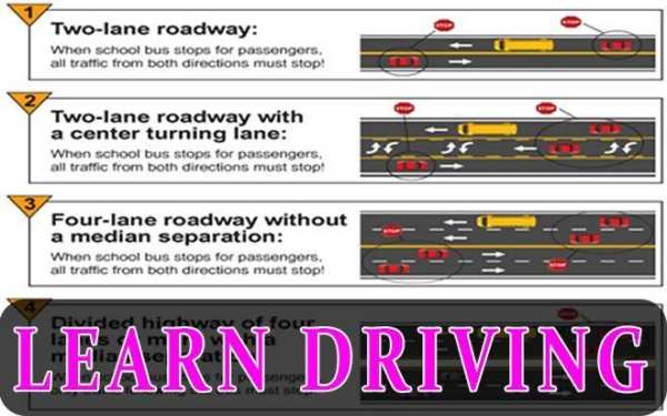 Learn Driving 2017 скриншот 2