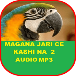 MAGANA JARI CE NA BIYU MP3 icon