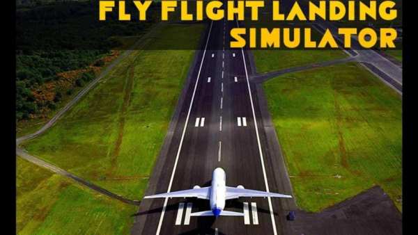 Fly Flight Landing Simulator screenshot 5