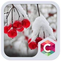 Snowy Cherry C launcher Theme
